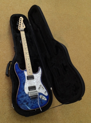 NEW - Custom Made Warmoth Electric Guitar + Floyd Rose, SD Pickups, 9 Sounds + More