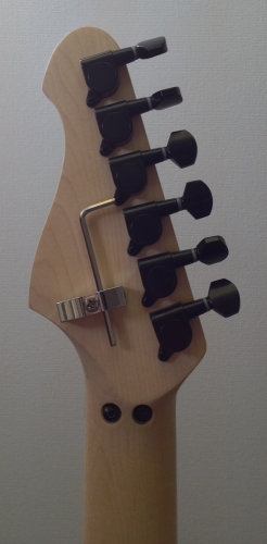 NEW - Custom Made Warmoth Electric Guitar + Floyd Rose, SD Pickups, 9 Sounds + More