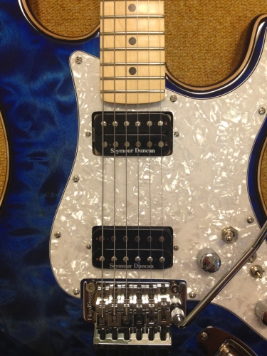 NEW - Custom Made Warmoth Electric Guitar + Floyd Rose, SD Pickups, 9 Sounds + More