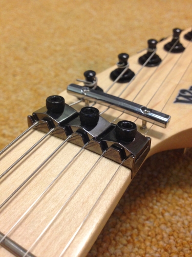 NEW - Custom Made Warmoth Electric Guitar + Floyd Rose, SD Pickups, 9 Sounds + More