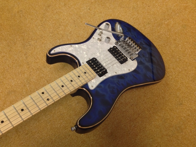 NEW - Custom Made Warmoth Electric Guitar + Floyd Rose, SD Pickups, 9 Sounds + More