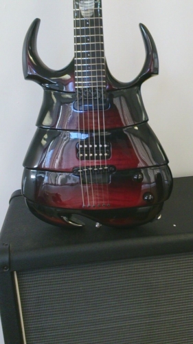 The Cockroach Custom Made Electric Guitar