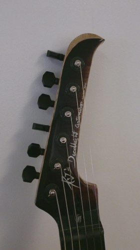 The Cockroach Custom Made Electric Guitar