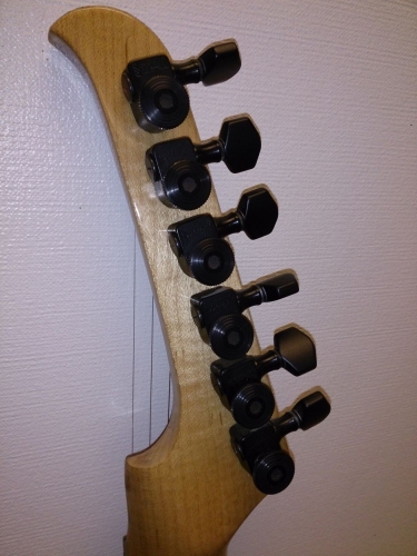 The Cockroach Custom Made Electric Guitar